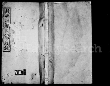 湖南罗氏族谱-罗氏八修族谱 [10卷,首末各1卷].pdf电子版插图1