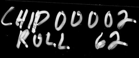 湖南罗氏族谱-罗氏八修族谱 [95卷,首3卷,末2卷].pdf电子版插图1