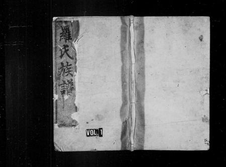 湖南罗氏族谱-罗氏六修族谱 [21卷,首1卷].pdf电子版插图1