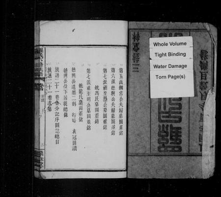 湖南罗氏族谱-罗氏六修族谱 [21卷,首1卷].pdf电子版插图3