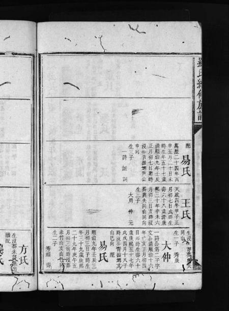 湖南罗氏族谱-罗氏家乘 [9卷,含首1卷].pdf电子版插图4