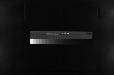 湖南罗氏族谱-罗氏房谱 [残卷].pdf电子版