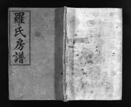 湖南罗氏族谱-罗氏房谱 [残卷].pdf电子版插图1
