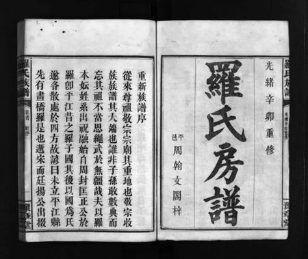 湖南罗氏族谱-罗氏房谱 [残卷].pdf电子版插图2