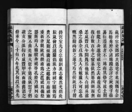 湖南罗氏族谱-罗氏房谱 [残卷].pdf电子版插图3