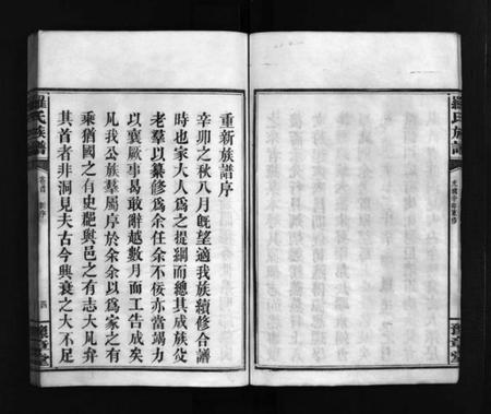 湖南罗氏族谱-罗氏房谱 [残卷].pdf电子版插图5