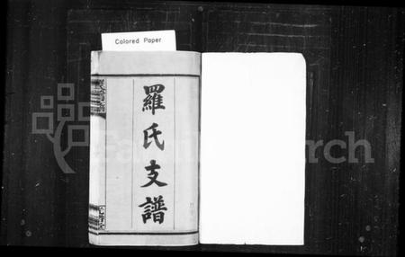 湖南罗氏族谱-罗氏支谱 [9卷,首3卷].pdf电子版插图2