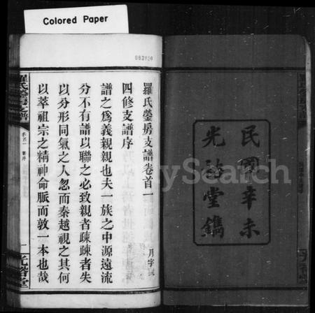 湖南罗氏族谱-罗氏支谱 [9卷,首3卷].pdf电子版插图4