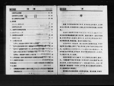 湖南罗氏族谱-罗氏族谱.pdf电子版插图4