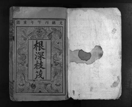 湖南未知族谱-罗氏族谱 [12卷].pdf电子版插图2