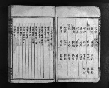 湖南未知族谱-罗氏族谱 [12卷].pdf电子版插图4