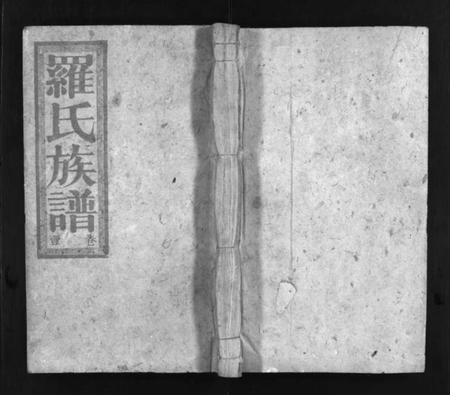 湖南罗氏族谱-罗氏族谱 [16卷].pdf电子版插图1