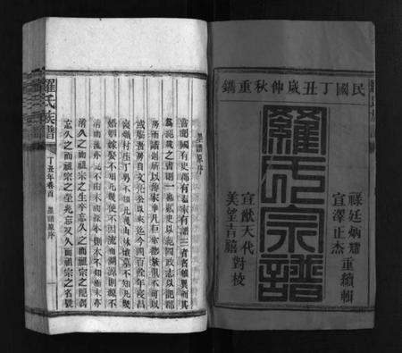 湖南罗氏族谱-罗氏族谱 [16卷].pdf电子版插图2