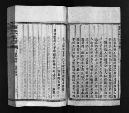 湖南罗氏族谱-罗氏族谱 [16卷].pdf电子版插图3