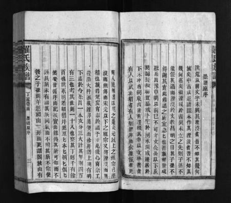 湖南罗氏族谱-罗氏族谱 [16卷].pdf电子版插图4