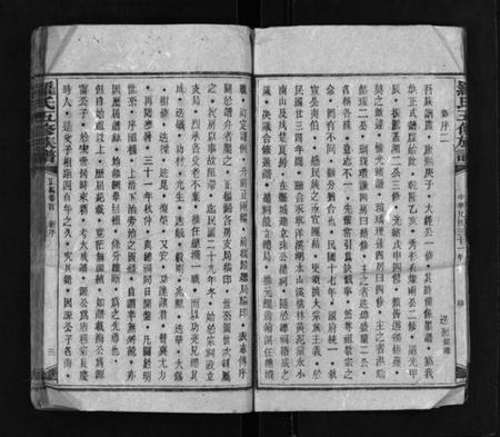 湖南罗氏族谱-罗氏族谱 [18卷,首1卷].pdf电子版插图5