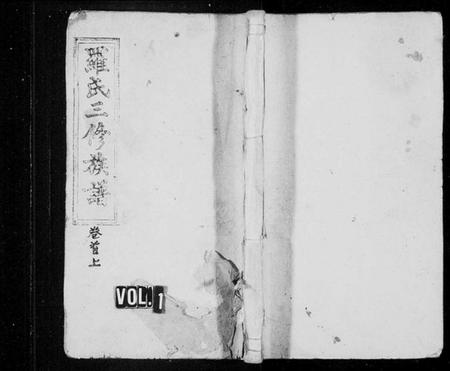 湖南罗氏族谱-罗氏族谱 [23卷,首2卷,末1卷].pdf电子版插图1