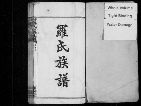 湖南罗氏族谱-罗氏族谱 [23卷,首2卷,末1卷].pdf电子版插图2