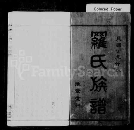 湖南罗氏族谱-罗氏族谱 [32卷,含首1卷].pdf电子版插图2