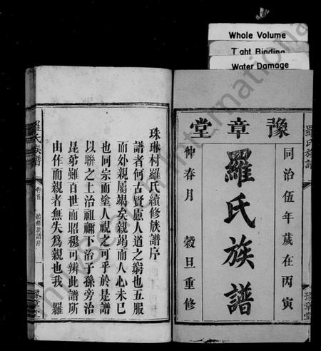 湖南罗氏族谱-罗氏族谱 [6卷,及卷首].pdf电子版插图2