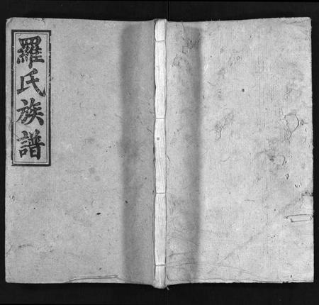 湖南罗氏族谱-罗氏族谱 [8卷,及卷首].pdf电子版插图1