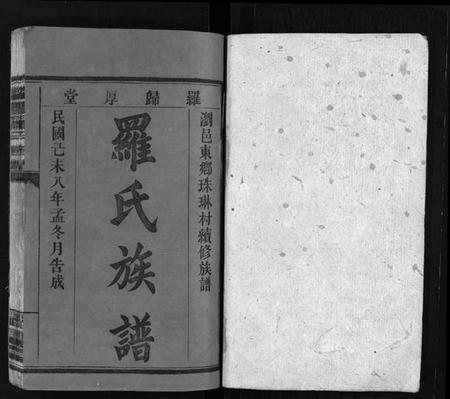 湖南罗氏族谱-罗氏族谱 [8卷,及卷首].pdf电子版插图2