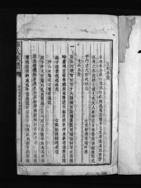 湖南罗氏族谱-罗氏族谱 [8卷,含卷首].pdf电子版插图3