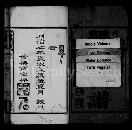 湖南罗氏族谱-罗氏祠谱.pdf电子版插图3