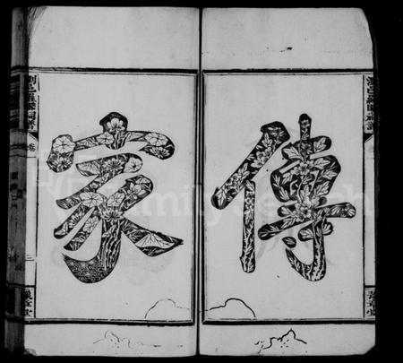 湖南罗氏族谱-罗氏祠谱.pdf电子版插图4