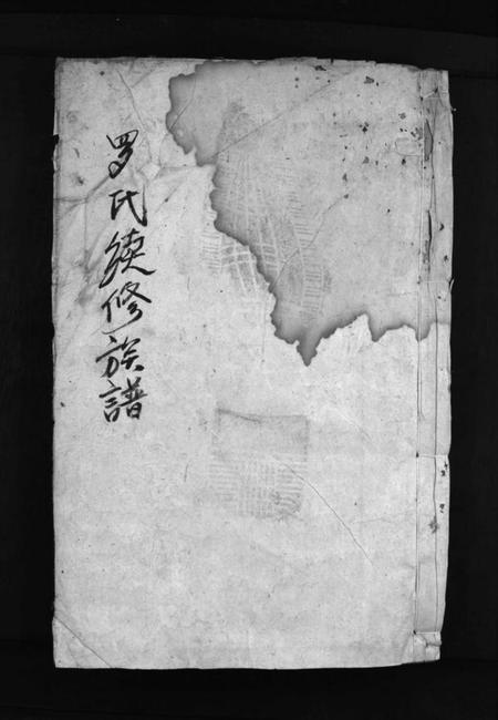 湖南罗氏族谱-罗氏续修族谱 [1卷,首1卷].pdf电子版插图1