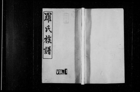 湖南罗氏族谱-罗氏续修族谱 [8卷].pdf电子版插图1