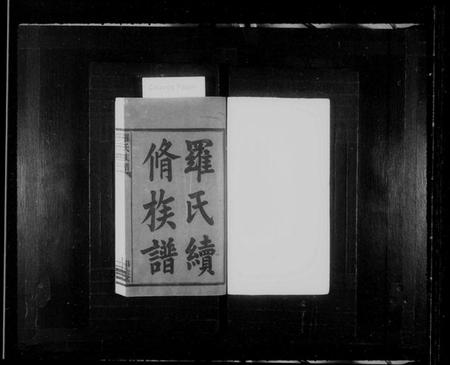 湖南罗氏族谱-罗氏续修族谱 [8卷].pdf电子版插图2