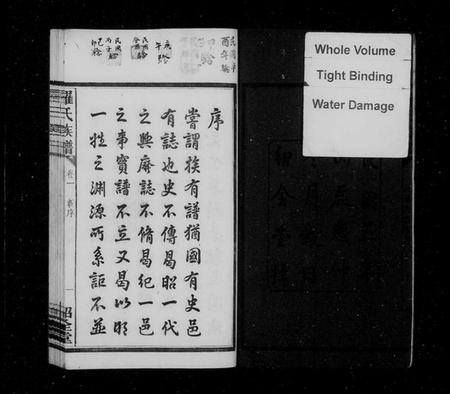 湖南罗氏族谱-罗氏续修族谱 [8卷].pdf电子版插图4
