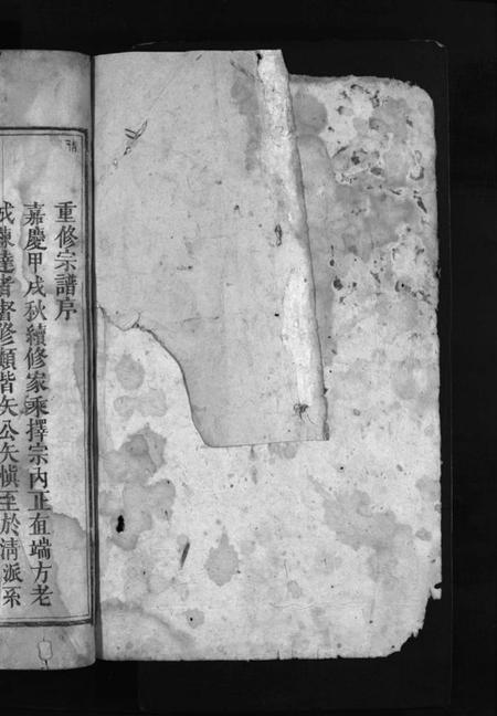 湖南罗氏族谱-罗氏重修宗谱 [29卷,首1卷].pdf电子版插图2