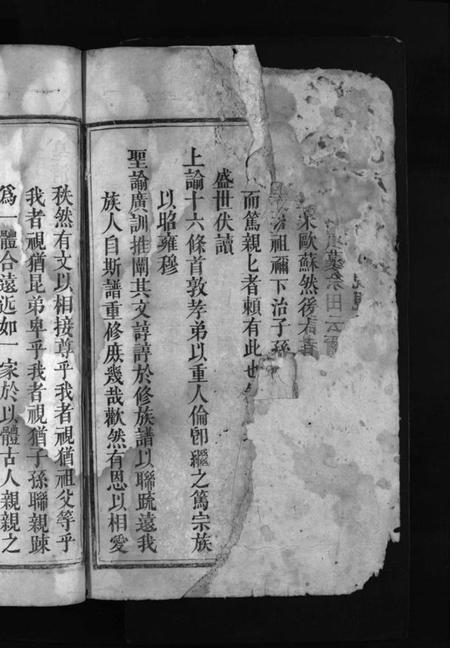 湖南罗氏族谱-罗氏重修宗谱 [29卷,首1卷].pdf电子版插图4