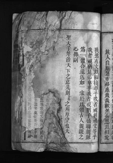 湖南罗氏族谱-罗氏重修宗谱 [29卷,首1卷].pdf电子版插图5