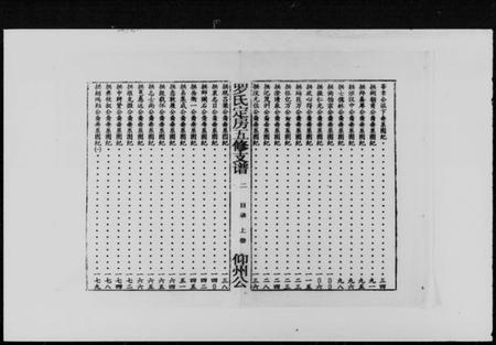 湖南罗氏族谱-豫章罗氏信定公五修支谱 [不分卷].pdf电子版插图3