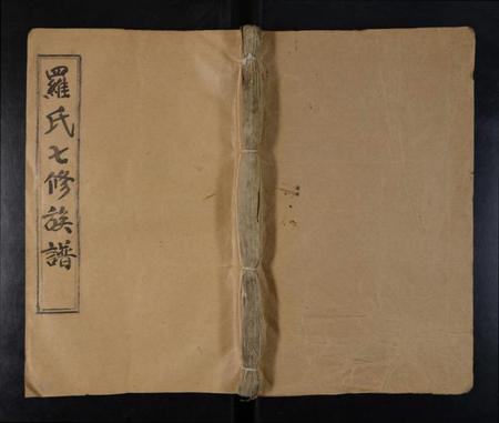 湖南罗氏族谱-龙源罗氏七修族谱 [存4卷].pdf电子版