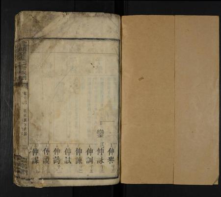 湖南罗氏族谱-龙源罗氏七修族谱 [存4卷].pdf电子版插图1