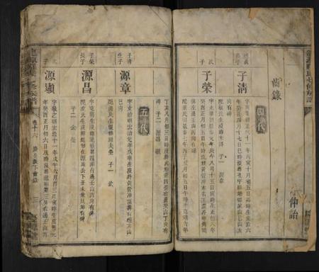 湖南罗氏族谱-龙源罗氏七修族谱 [存4卷].pdf电子版插图2