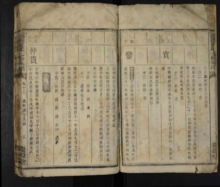 湖南罗氏族谱-龙源罗氏七修族谱 [存4卷].pdf电子版插图4