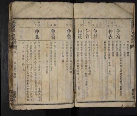 湖南罗氏族谱-龙源罗氏七修族谱 [存4卷].pdf电子版插图5