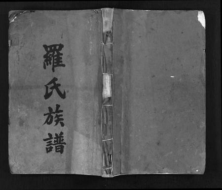 湖南罗氏族谱-罗氏族谱 [22卷,首2卷].pdf电子版插图1