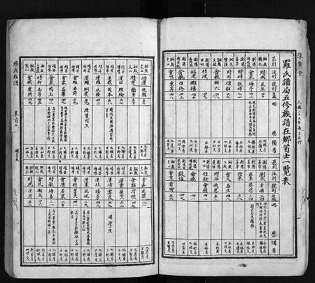 湖南罗氏族谱-罗氏族谱 [22卷,首2卷].pdf电子版插图4