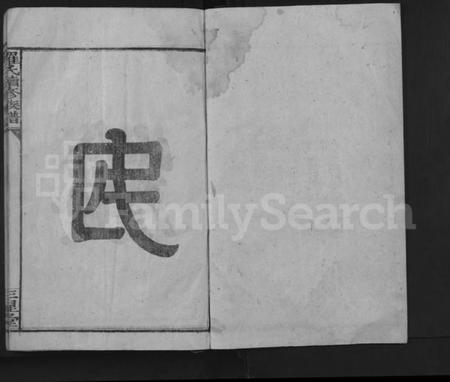 湖南罗氏族谱-罗氏续修族谱 [不分卷].pdf电子版插图1