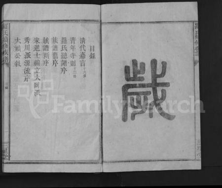 湖南罗氏族谱-罗氏续修族谱 [不分卷].pdf电子版插图3