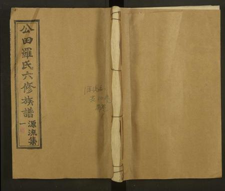 湖南罗氏族谱-公田罗氏族谱[各集分卷].pdf电子版