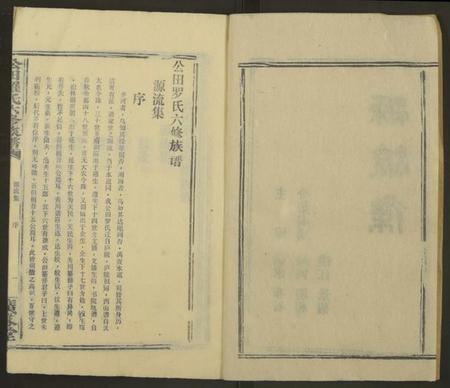 湖南罗氏族谱-公田罗氏族谱[各集分卷].pdf电子版插图2