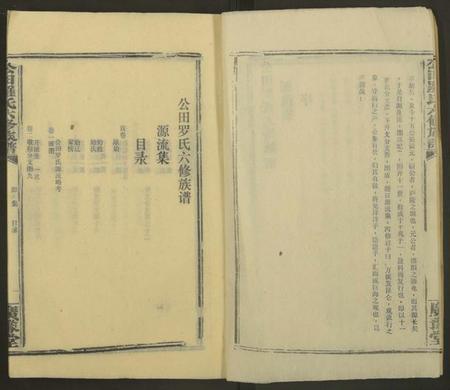 湖南罗氏族谱-公田罗氏族谱[各集分卷].pdf电子版插图3