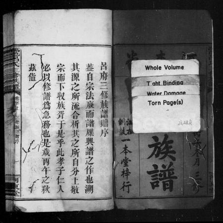 湖南吕氏族谱-吕氏族谱 [10卷,首4卷].pdf电子版插图3